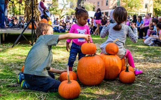 fall festival on the green, pumpkins and children